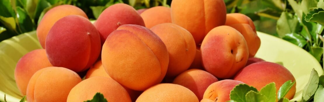 apricots_fruit_ripe_grass_110411_2560x1024